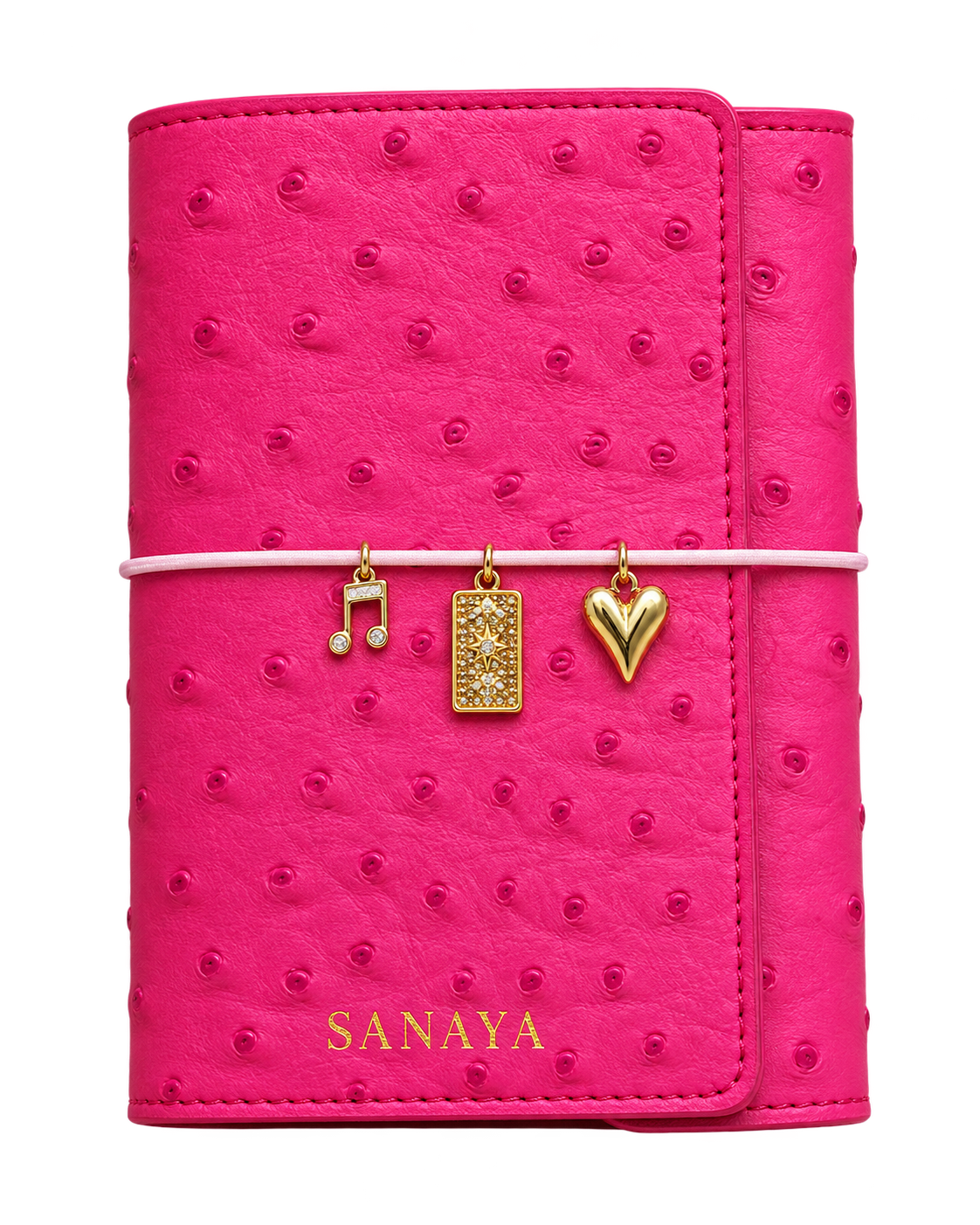 Signature Journal · Dragonfruit