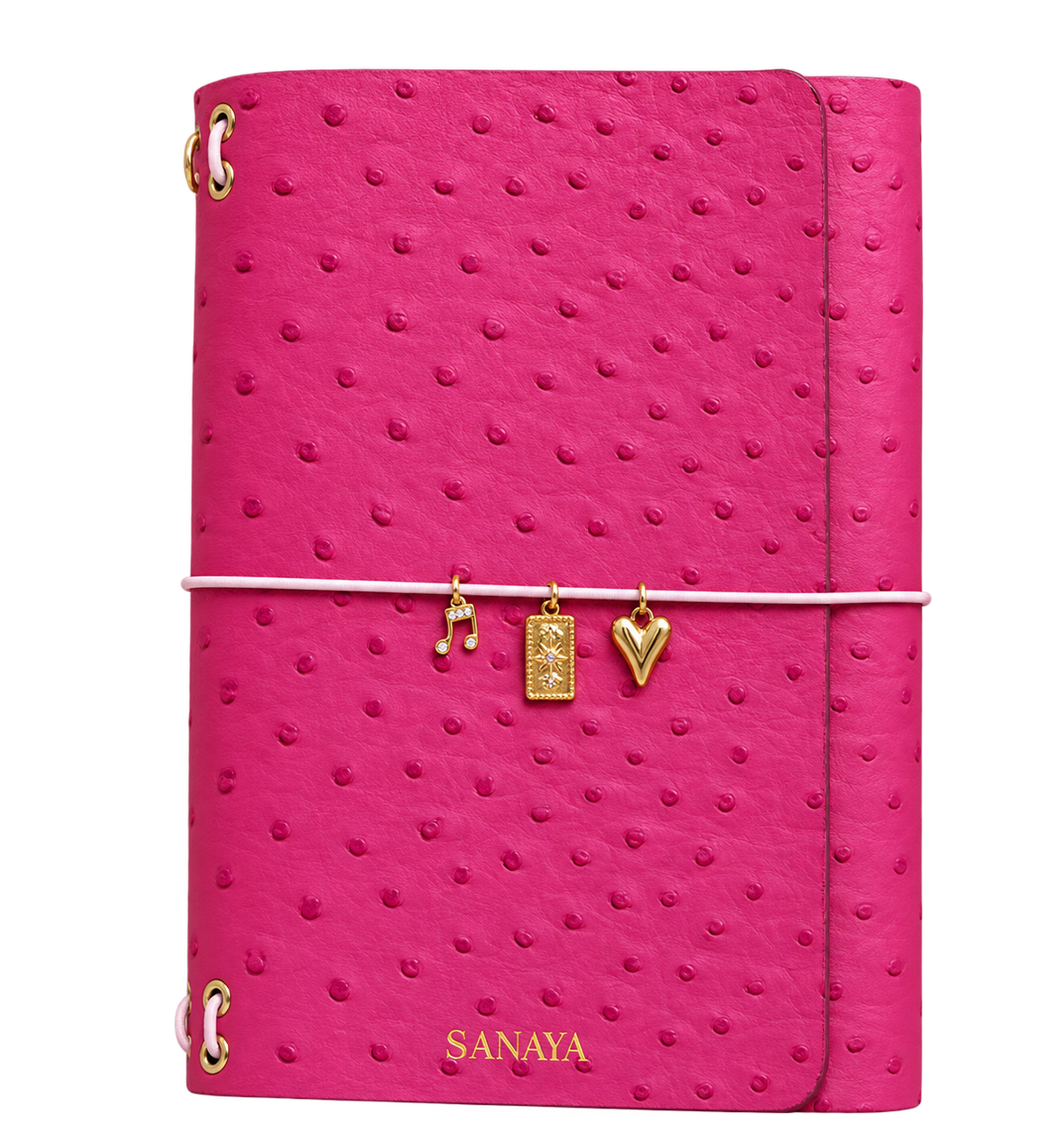 Journal Signature · Fruit du dragon