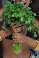 Saluran Danaya