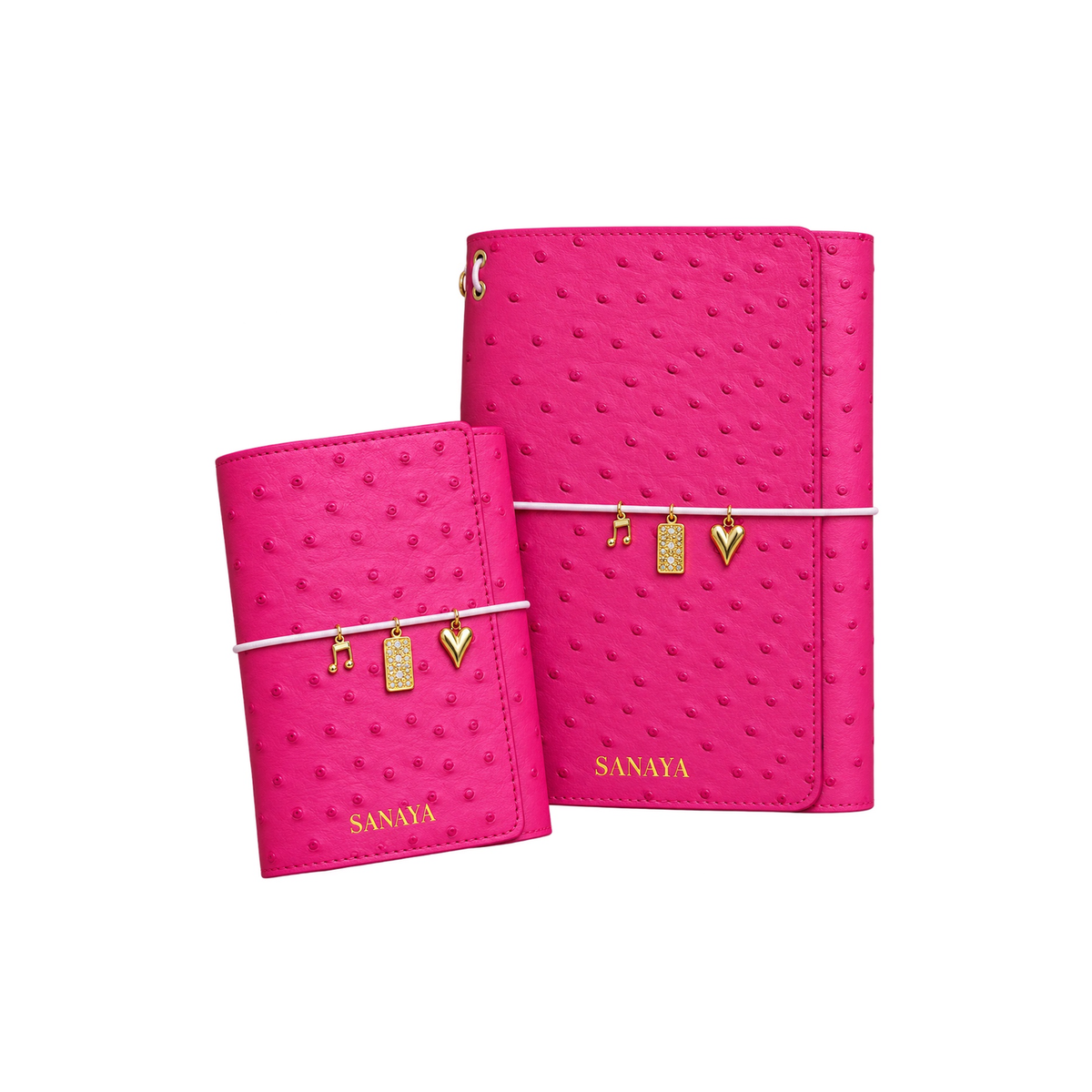 Journal Signature · Fruit du dragon