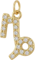 Capricorn, charm S