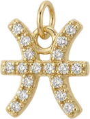 Pisces, charm S
